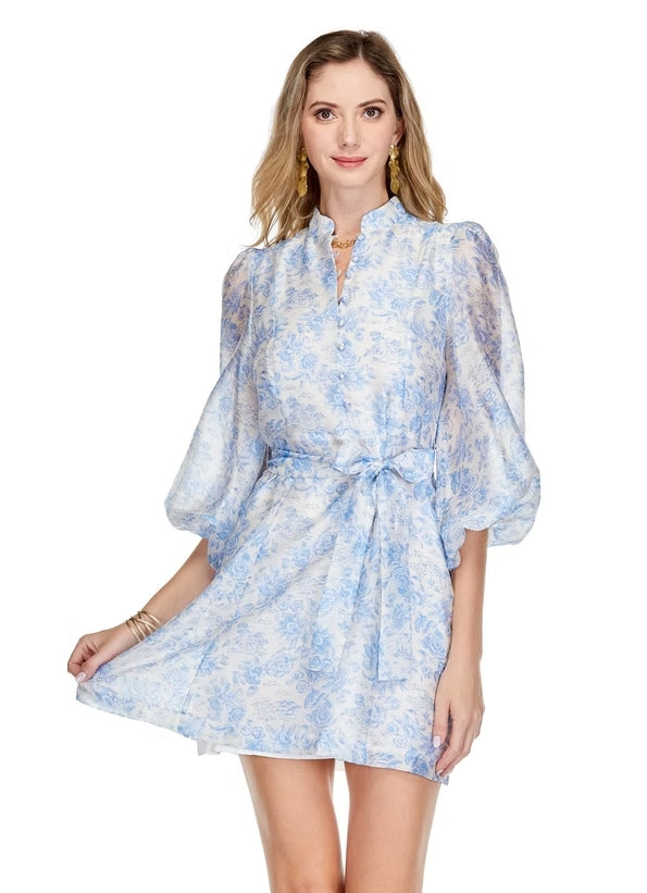 blue bashful dress
