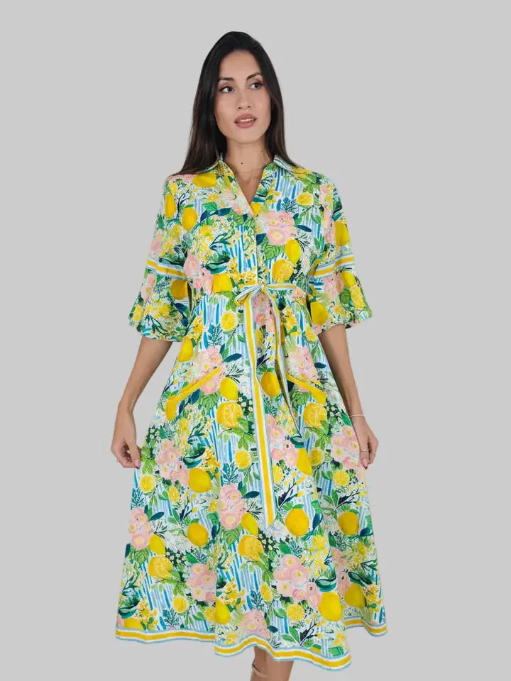 Isla payal cape midi pallet dress