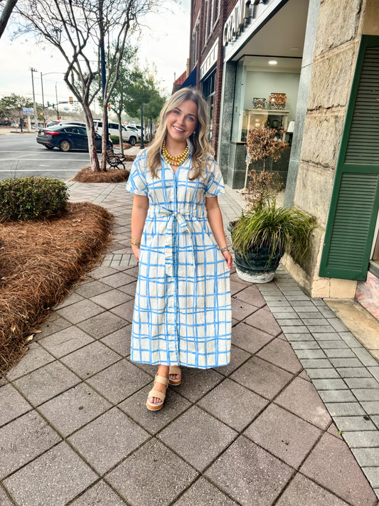 holly shae painted plaid in blue bria dress